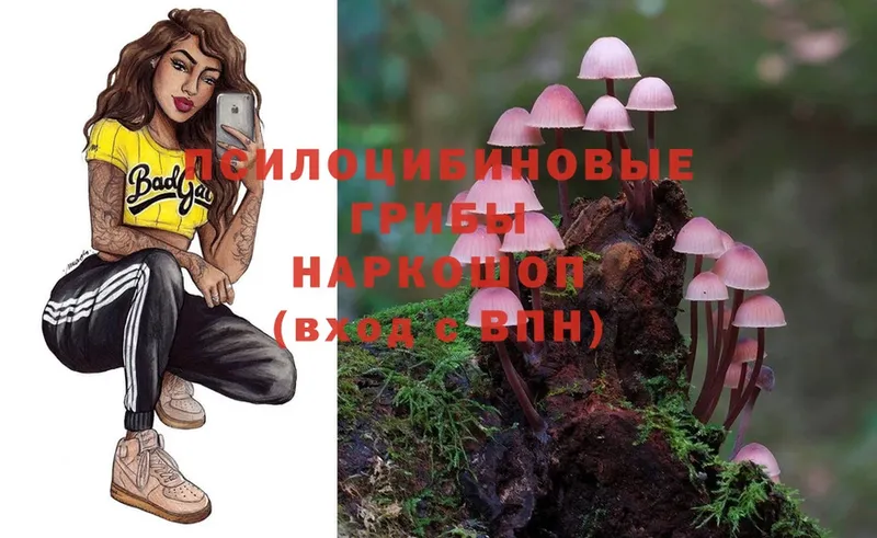 как найти закладки  Нахабино  Галлюциногенные грибы MAGIC MUSHROOMS 